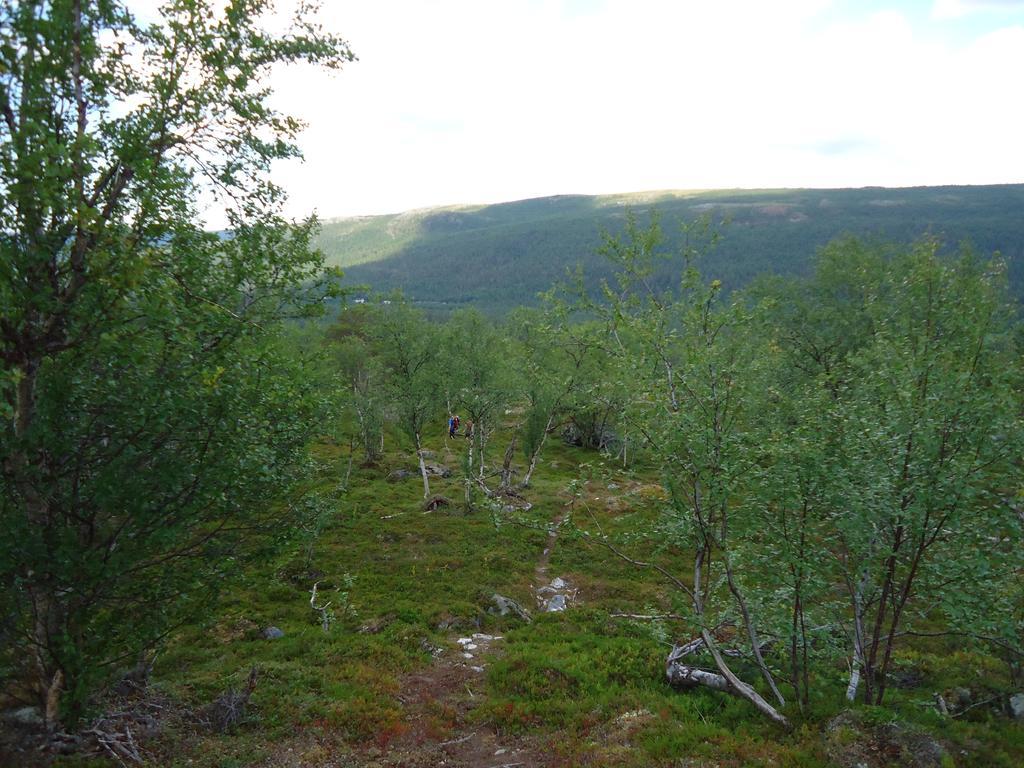 Gargia Lodge Alta Exteriör bild