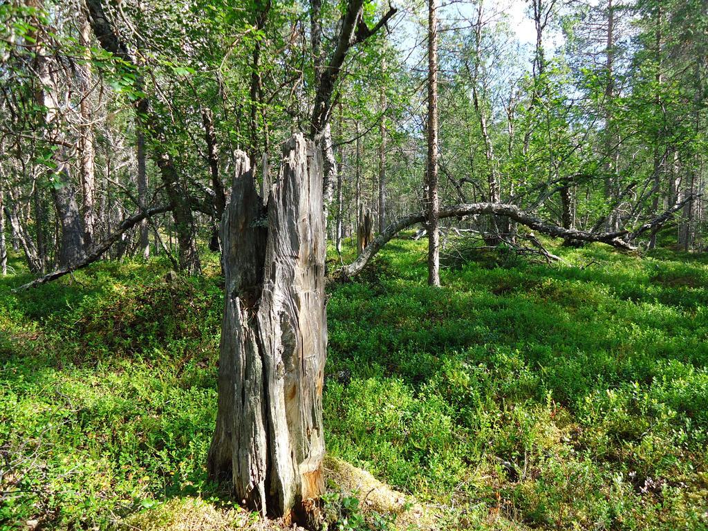 Gargia Lodge Alta Exteriör bild