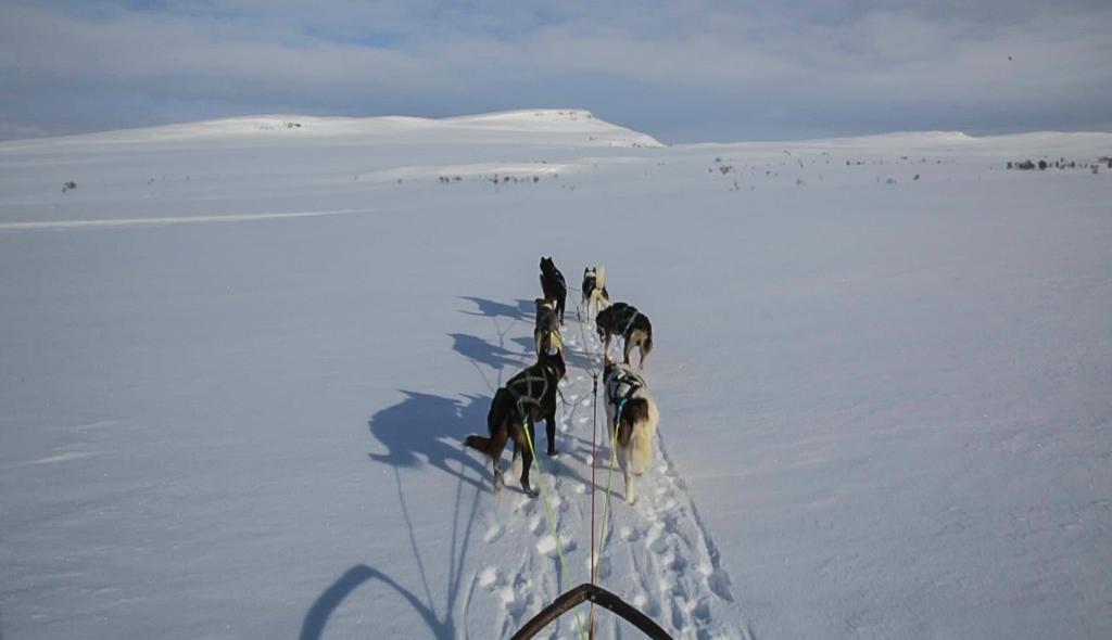 Gargia Lodge Alta Exteriör bild